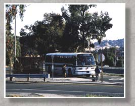 Picture of Golden Gate Transit bus at a stop