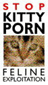 Stop Kitty Porn!